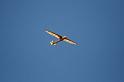 IMG_6077_051