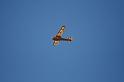 IMG_6077_129