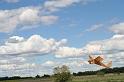 IMG_8139